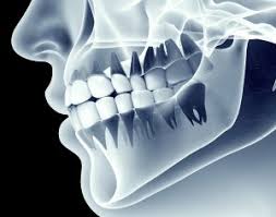 https://dental.netizens.dev/wp-content/uploads/2025/05/images.jpeg