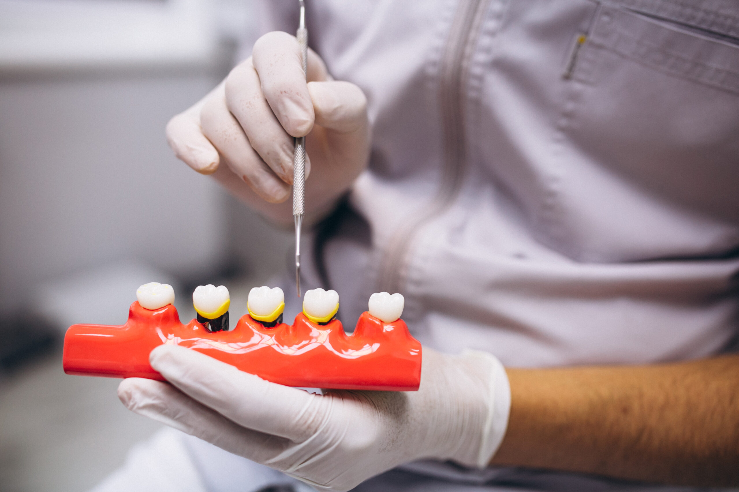 https://dental.netizens.dev/wp-content/uploads/2025/05/woman-patient-dentist-scaled-1.jpg